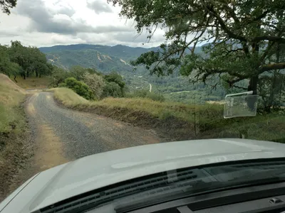 20190520_105841 (Large).jpg